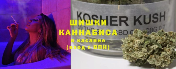 ГАЛЛЮЦИНОГЕННЫЕ ГРИБЫ Вязьма