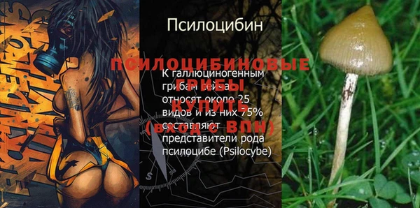 трава Волоколамск