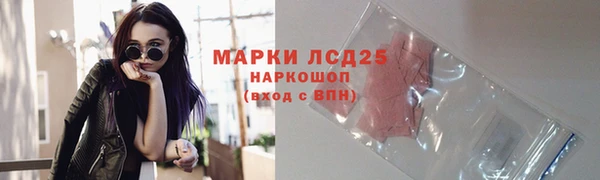ГАЛЛЮЦИНОГЕННЫЕ ГРИБЫ Вязьма