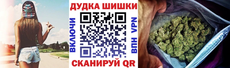 mega как зайти  Егорьевск  Каннабис Amnesia  цена наркотик 